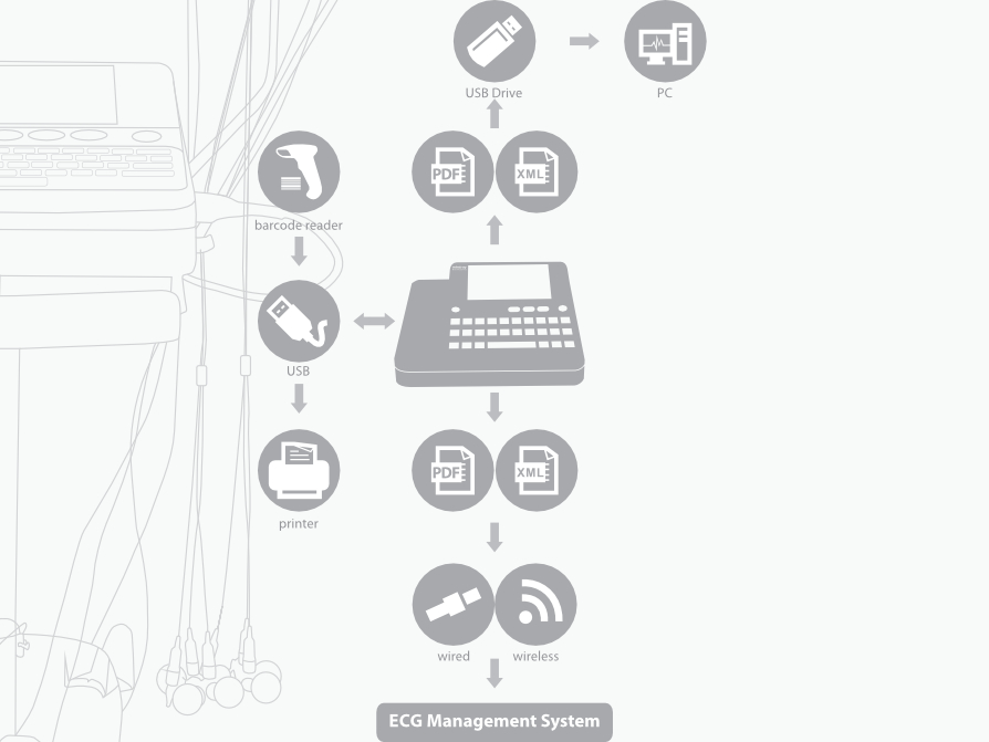 p9-s4-web