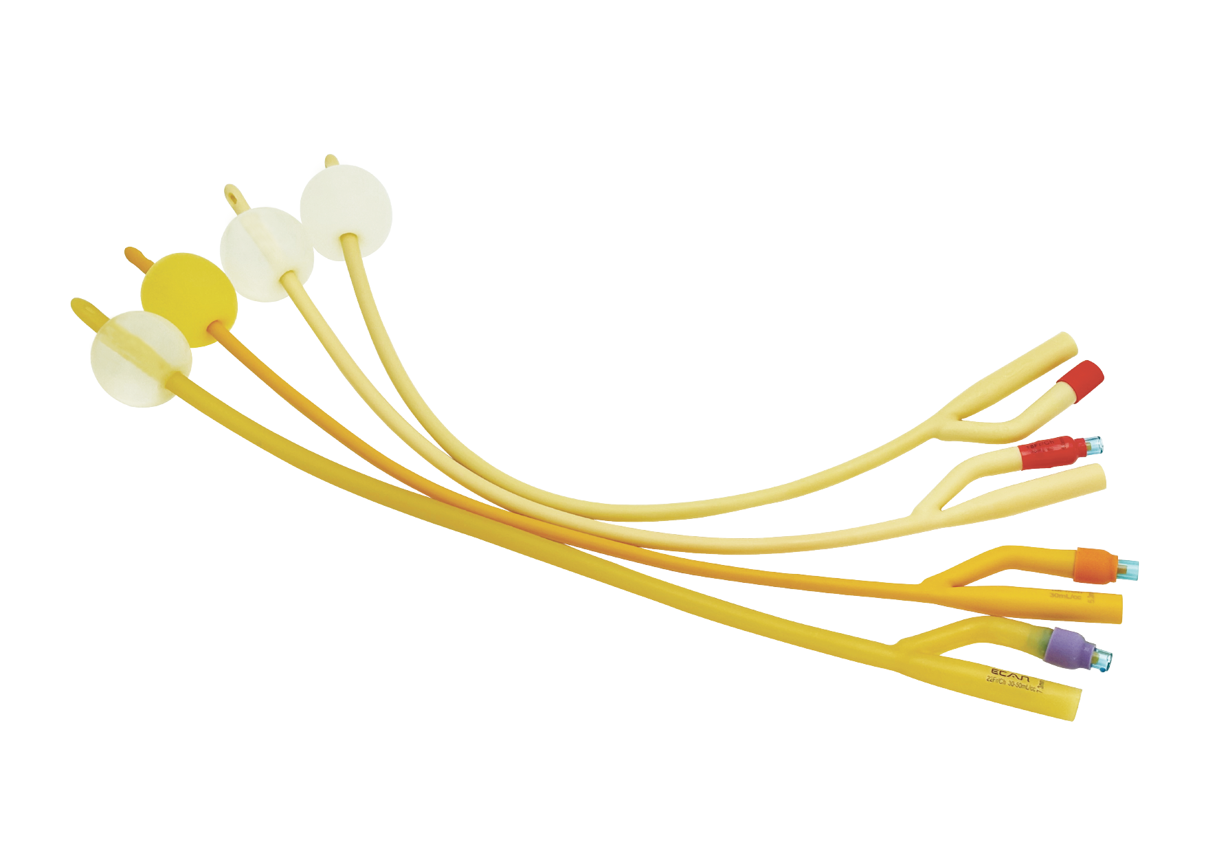 Pediatric & Standard & Female & Tiemann