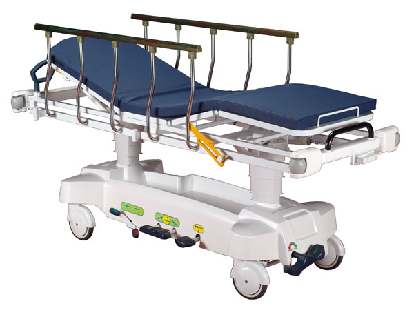 Luxury transfer vehicle